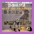 후석로 | [춘천] 플레이정글 춘천엔타점 어른들도 즐기는 실내동물원 후기