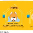 정원동물병원 - 순천시 순천만정원로 78 | 정원동물병원