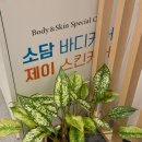 제이소담