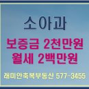 위례신안인스빌공인중개사사무소 | [임대] 송파구 위례동(장지동) 소아과 의원 상가 - 보증금 2000만원 / 월세 200만원