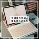 선영익스프레스
