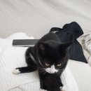 제일종합동물병원 이미지