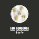 이플[E.fle]