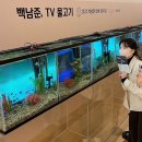 비디오백화점 이미지