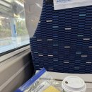 천지모텔 | 경주 1박2일 여행 | 어향원 | 책방 &#39;이어서&#39; | 엑스포공원(경주타워, 솔거미술관) | 미피스토어