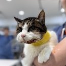 오늘도 바르개 이미지