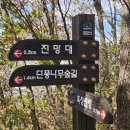 2025년 11월 2일 충남 천안시의 명산 흑성산을 산행함 이미지