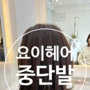 요이헤어 네이버블로그