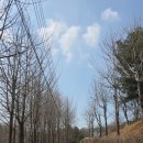 초록산 산림욕장 1 이미지