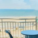 튤립게임랜드 이미지