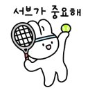 테니스센트럴