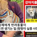 하나 동물병원 이미지