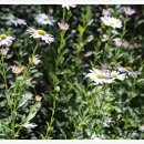 깊은산속 옹달샘 이미지