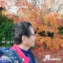 고흥농협주유소 이미지