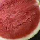 길주로258번길 | 8월 미친 거 다 갔네