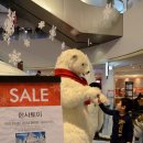 토이포토 이미지