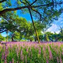 성주문화예술회관 공연장 이미지