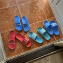 엔젤 식물원 | 양평독채펜션 / 수영장부터 작은 식물원까지 엔젤식물원펜션