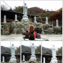 해광사 - 기장군 | 해광사
