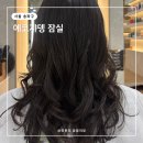 신상 잠실역 미용실 롯데월드몰 에코쟈뎅 잠실 헤어펌 S컬 C컬 가격