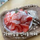 가배랑솜인사동카페 | [종로] 인사동 빙수 맛집 가배랑솜 인사동 카페 솔직 후기