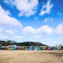 월령초등학교 이미지