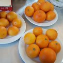 영락농장 이미지