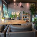 카페로아 이미지