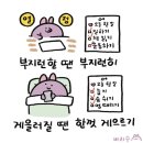 수투 이미지