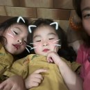 그린빌사우나 이미지