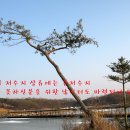 길정낚시터 네이버블로그