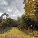 의령 고산재 이미지