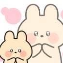 목동초밥집 이미지