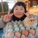 신영주농장 이미지