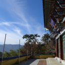 동아무도장 이미지