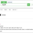 펫 목욕하는날 이미지