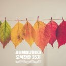 세이브머니