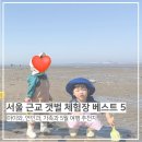 풍도어촌체험휴양마을 | 4대 가족 | 아이와 서울 근교 갯벌체험 베스트 5(서울에서 1시간 내외 / 샤워 가능 / 대여 가능)