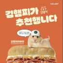 샐러디부산대