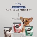 별덴탈