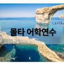 위더스어학원 | 몰타 어학연수 후기 어학원 한달 가격 유학원 비용