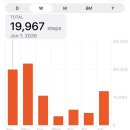 [ 중국 상하이 상해 | 3박 4일 2 ] 상해 디즈니랜드 어트랙션 후기 + 양꼬치 맛집 추천(헌지우이치엔)