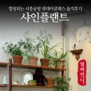 쉽고 특별한 드론 영상만들기 | 이색체험 하기 좋은 시흥공방 샤인플랜트에서 에겐녀 수업 받고 온 후기