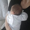 파티마병원 | [하뽀의 기록] 신생아 4주 이내 접종, 대구파티마병원 BCG 예방접종 후기(경피용)