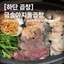 하단2동-4 | [하단 술집] 맛과 가성비 다잡은 동아대 곱창구이 맛집 : 금송아지돌곱창
