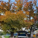 성제1리마을회관 이미지