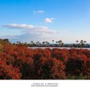 동백호텔 이미지