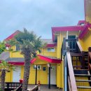 지세사랑약국 이미지