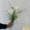 케이크바이케이크 이미지