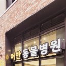 어반동물병원 이미지